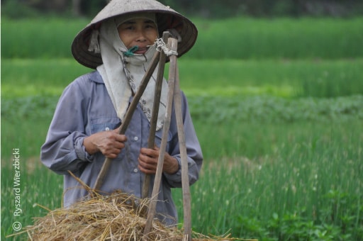 A Vietnamese Farmer, by Ryszard Wierzbicki