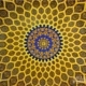 Mesmerizing Pattern, by Masrur Ashraf