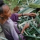 Weaving Flores Baskets, by Ryszard Wierzbicki