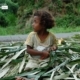 The Basket Weaver Girl, by Ryszard Wierzbicki