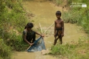 Fishing in the Forest, by Rahat Azim Chowdhury