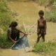 Fishing in the Forest, by Rahat Azim Chowdhury