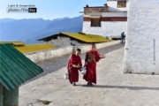 Tea Break with Little Monks, by Naba Kumar Mondal