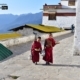 Tea Break with Little Monks, by Naba Kumar Mondal