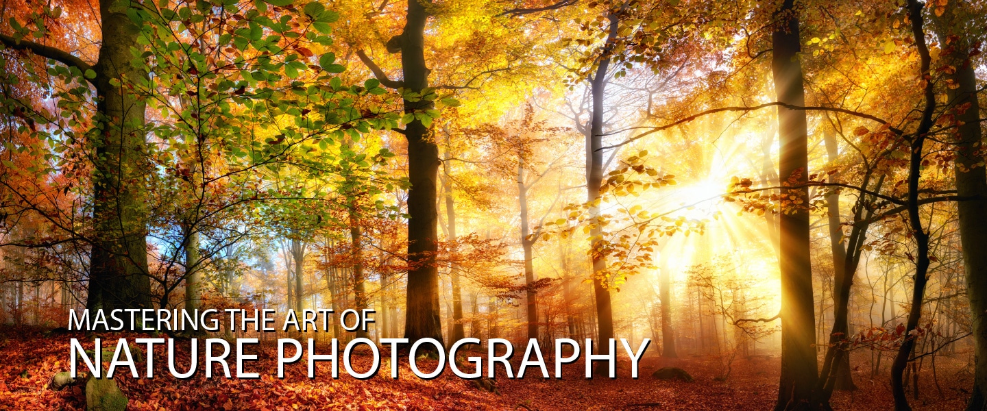 Mastering the Art of Nature Photography