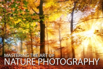 Mastering the Art of Nature Photography