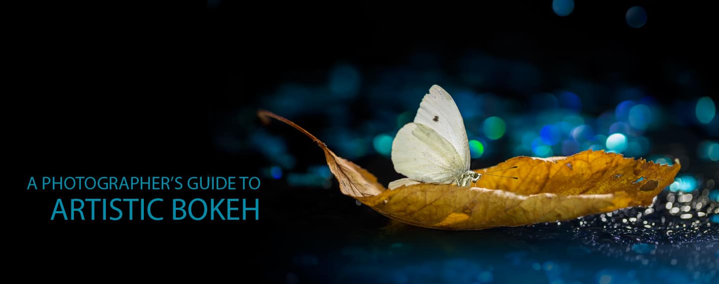 A Photographer’s Guide to Artistic Bokeh