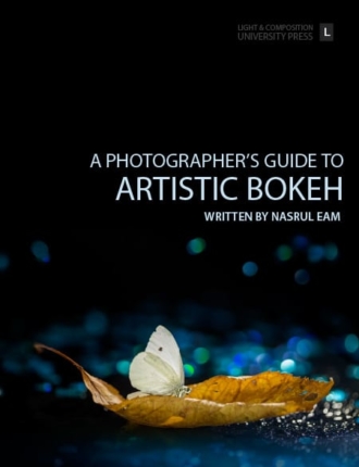 A Photographer’s Guide to Artistic Bokeh