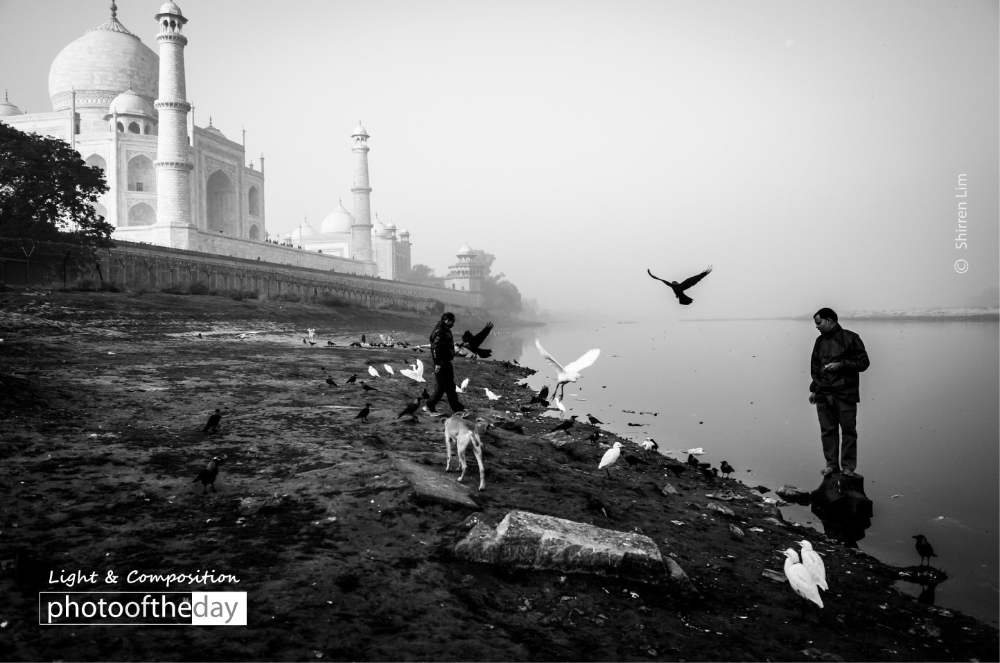 By the River Bank by Shirren Lim