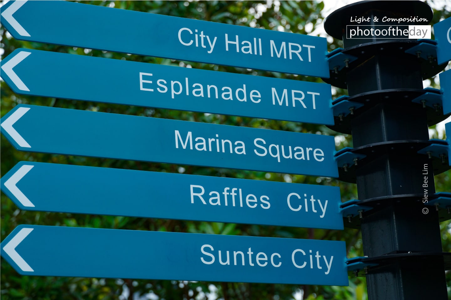 A Sign Post in Blue-Green by Siew Bee Lim