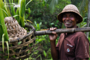 The Balinese Bearer by Ryszard Wierzbicki