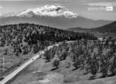 The Road of Life by Fatemeh Pishkhan