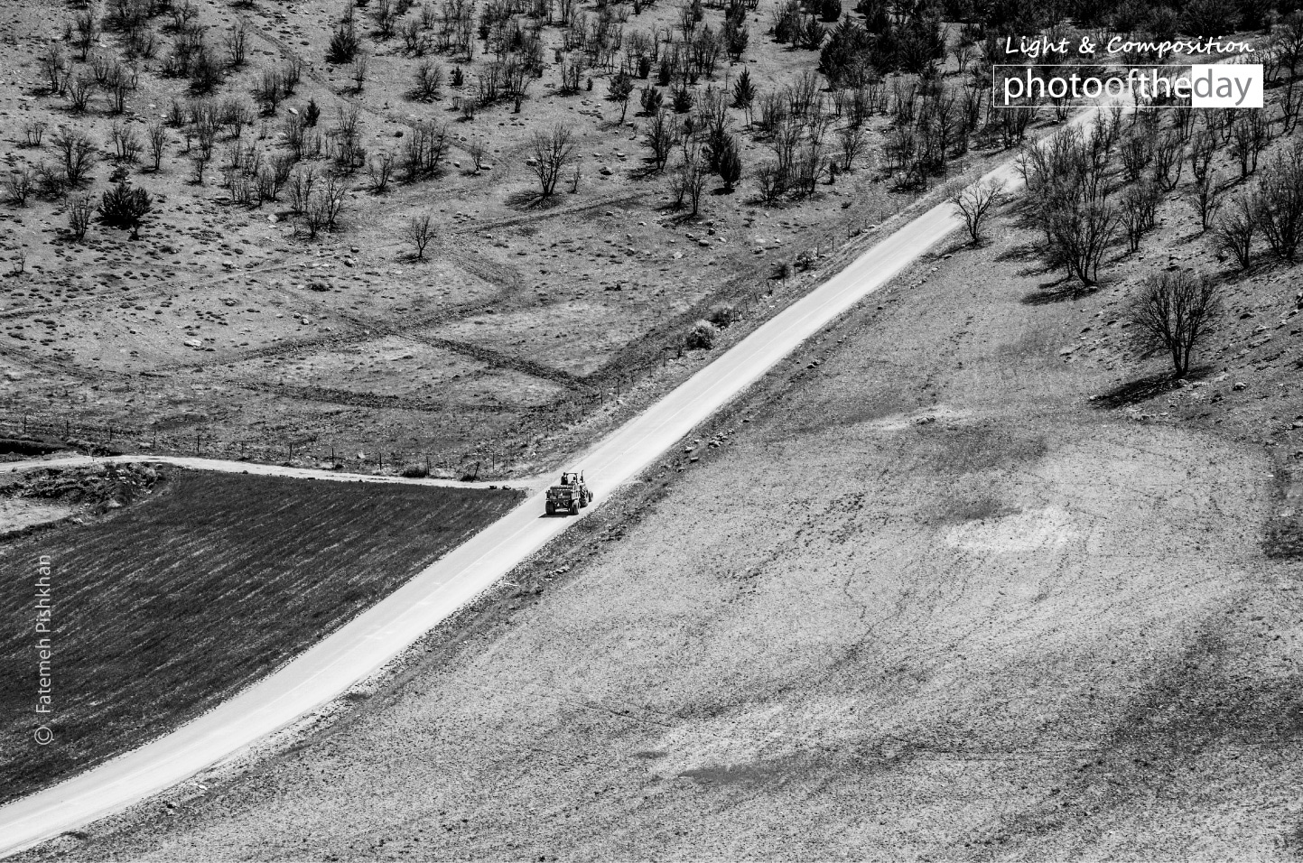 The Road by Fatemeh Pishkhan