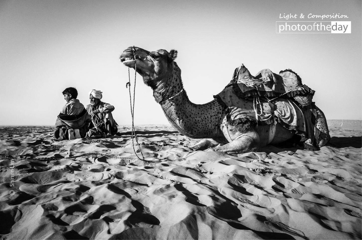 A Man, a Boy and a Camel by Shirren Lim