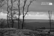 Trees and View by Fidan Nazim Qizi