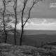 Trees and View by Fidan Nazim Qizi