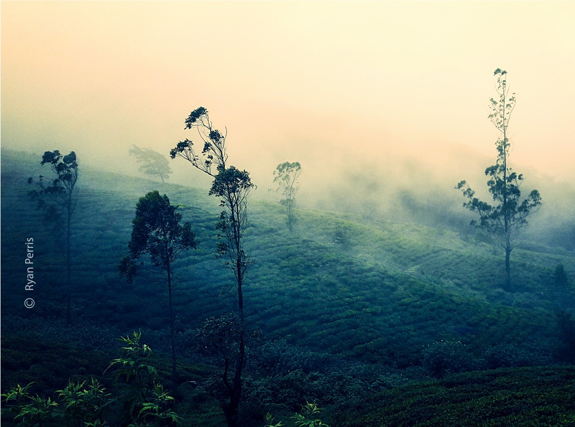 Mystic Hills by Ryan Perris