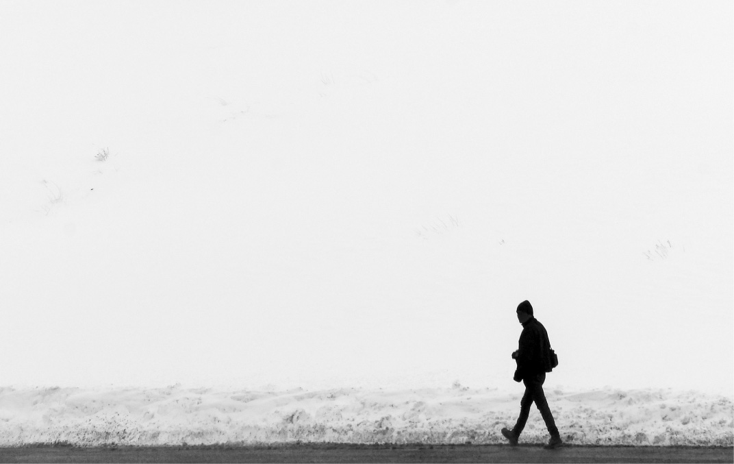 Walking in the Snow by Payman Mollaie