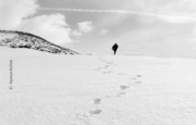 Footprints in the Snow by Payman Mollaie