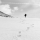 Footprints in the Snow by Payman Mollaie