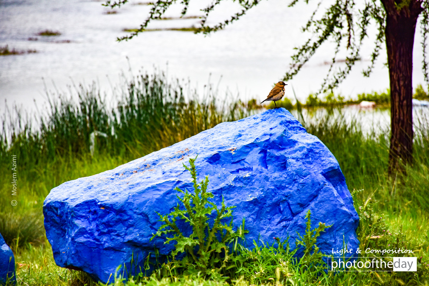 Colors and Nature by Moslem Azimi