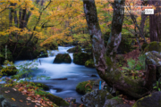 Stream of Autumn by Hanks Tseng