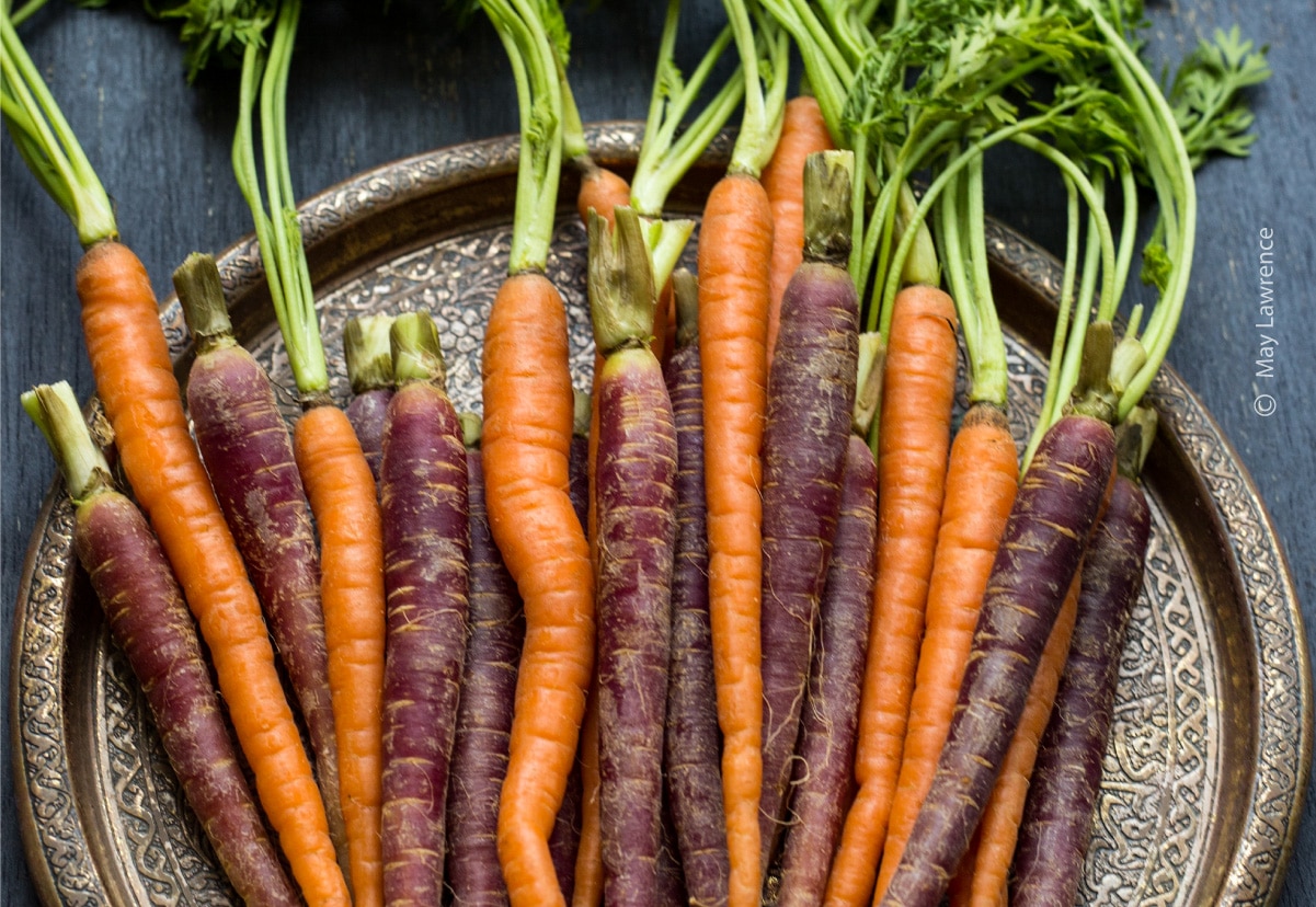 Multicoloured Carrots by May Lawrence