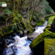 Waterfall in the Garden by Diana Ivanova