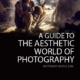 A Guide to the Aesthetic World of Photography