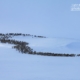 Reindeer in Winter Landscape by Frank Ivar Hansen