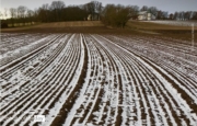 Winter Day in Cultural Landscape by Frank Ivar Hansen