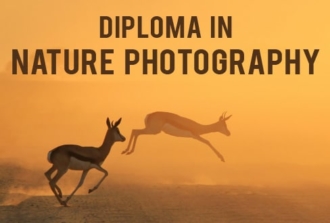 Diploma in Nature Photography