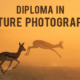 Diploma in Nature Photography