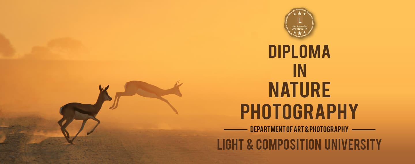 Diploma in Nature Photography