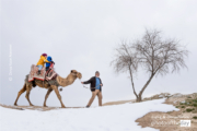 A Pleasure to Ride a Camel by Derya Yazar Atasever