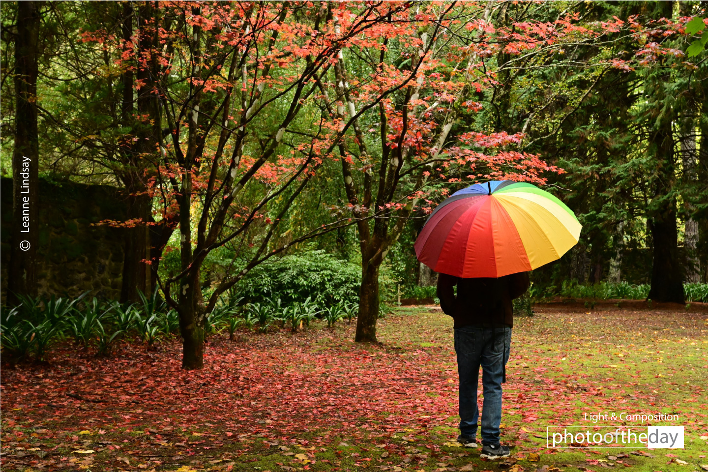 Breenhold Gardens: Capturing the Colors of Autumn by Leanne Lindsay