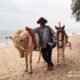 Cha Am Beach Horse Ride by Ryszard Wierzbicki