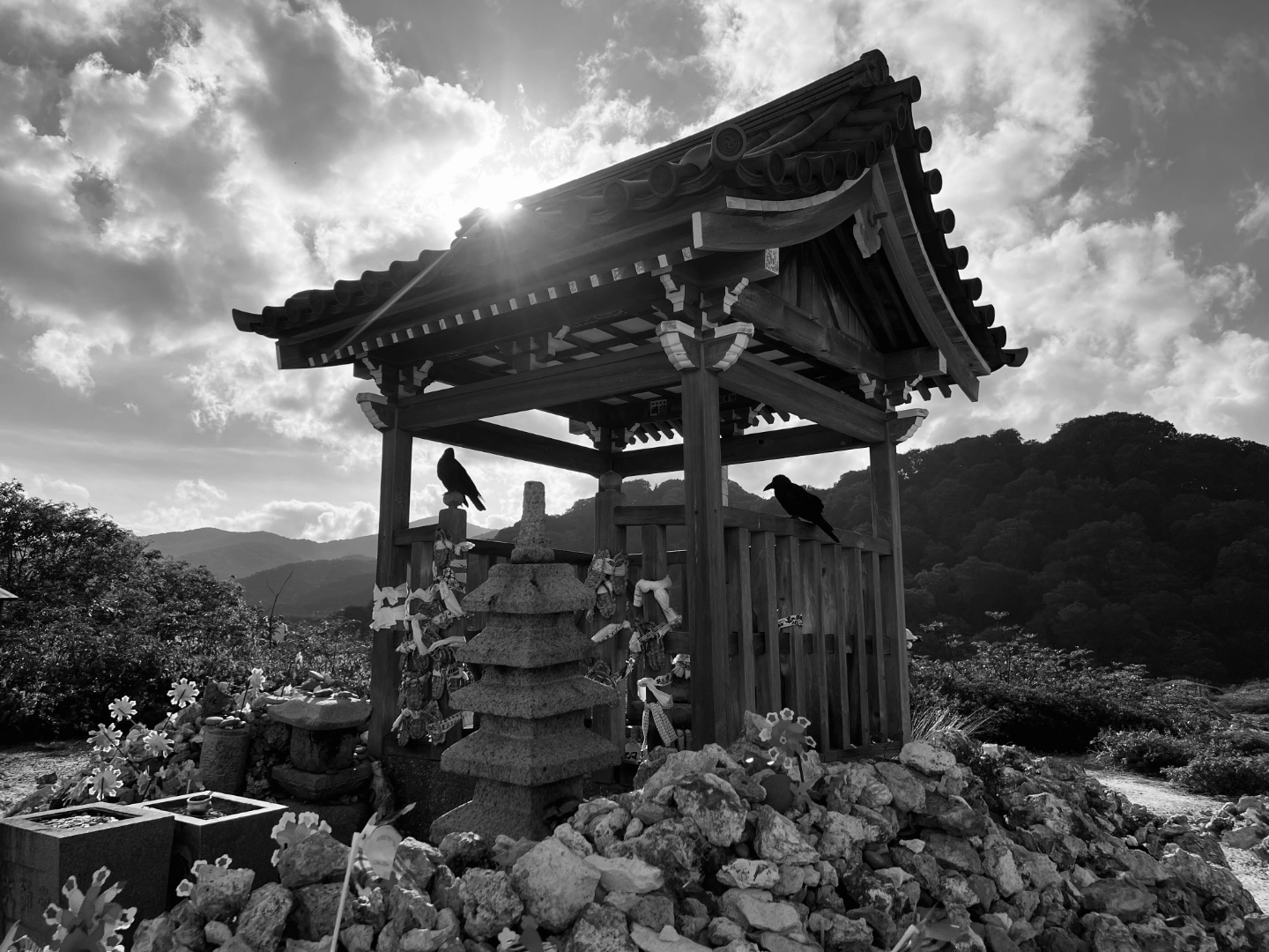 Crows Haunt by Tetsuhiro Umemura