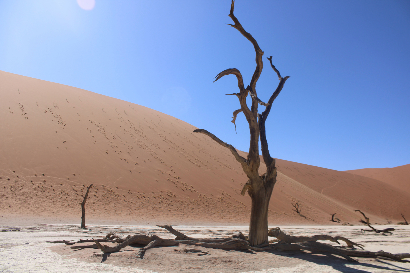 Deathly Sun in Death Valley by Kristel Sturrus