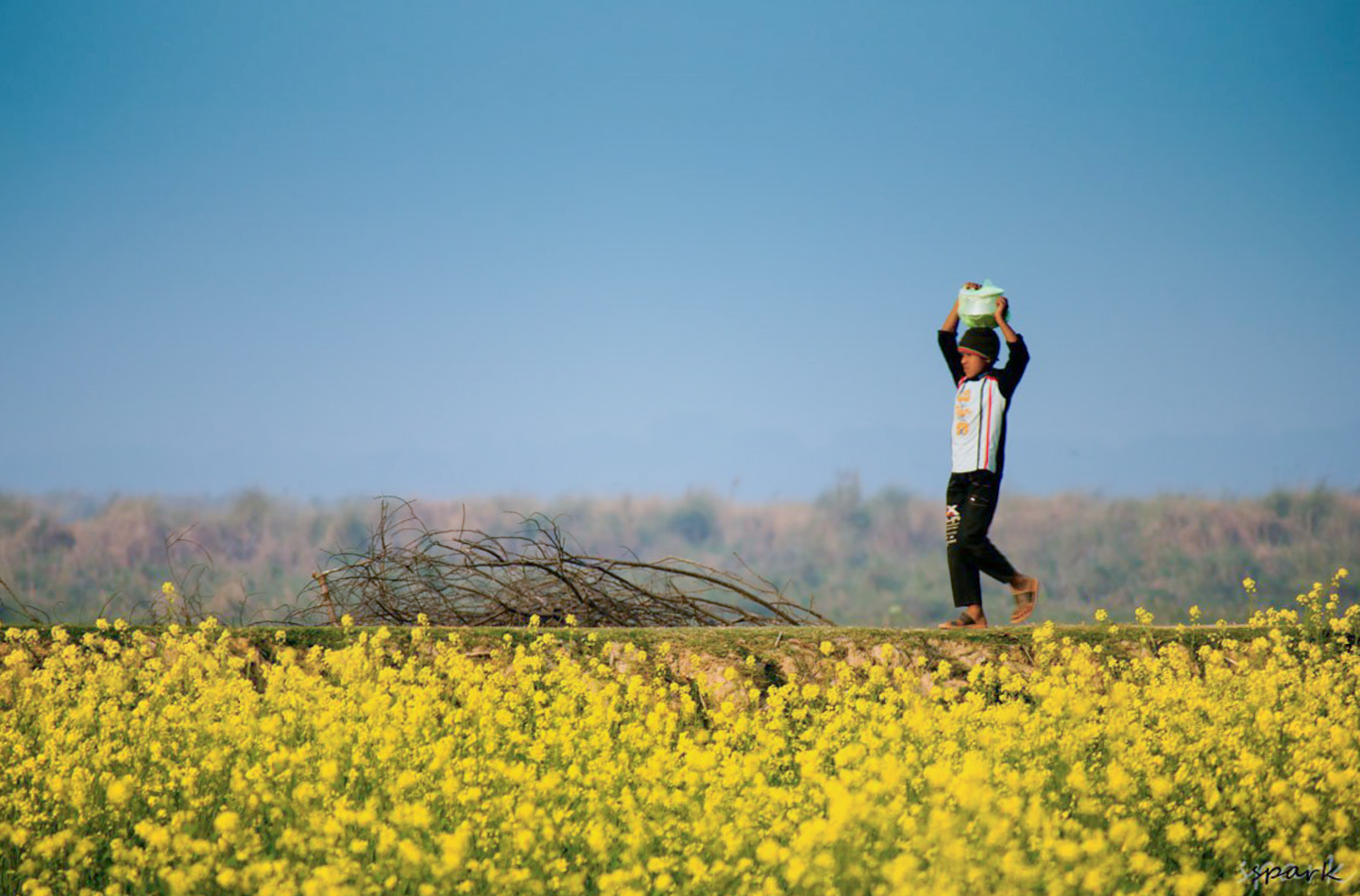 Food for His Father by Shahnaz Parvin