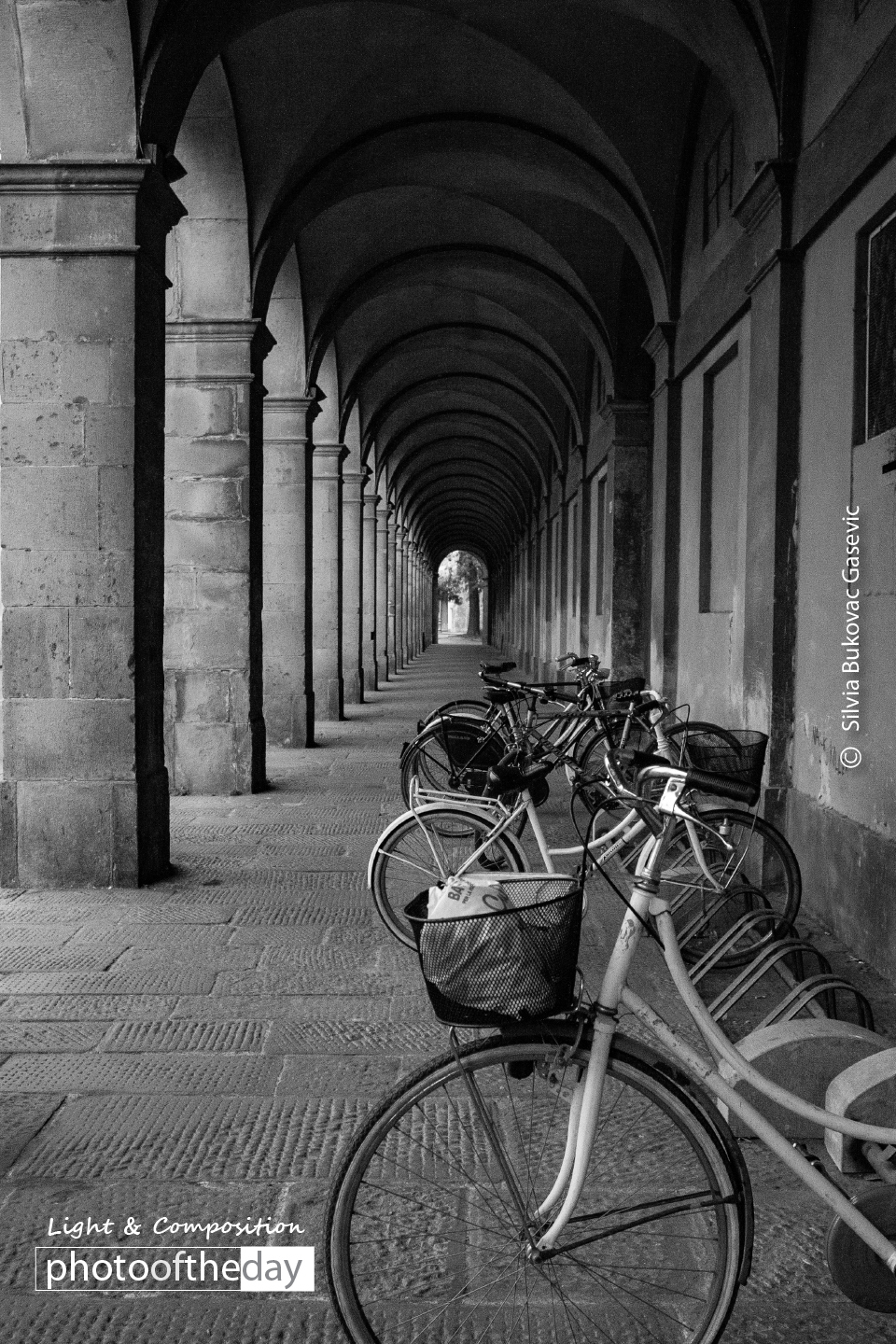 Lucca by Silvia Bukovac Gasevic