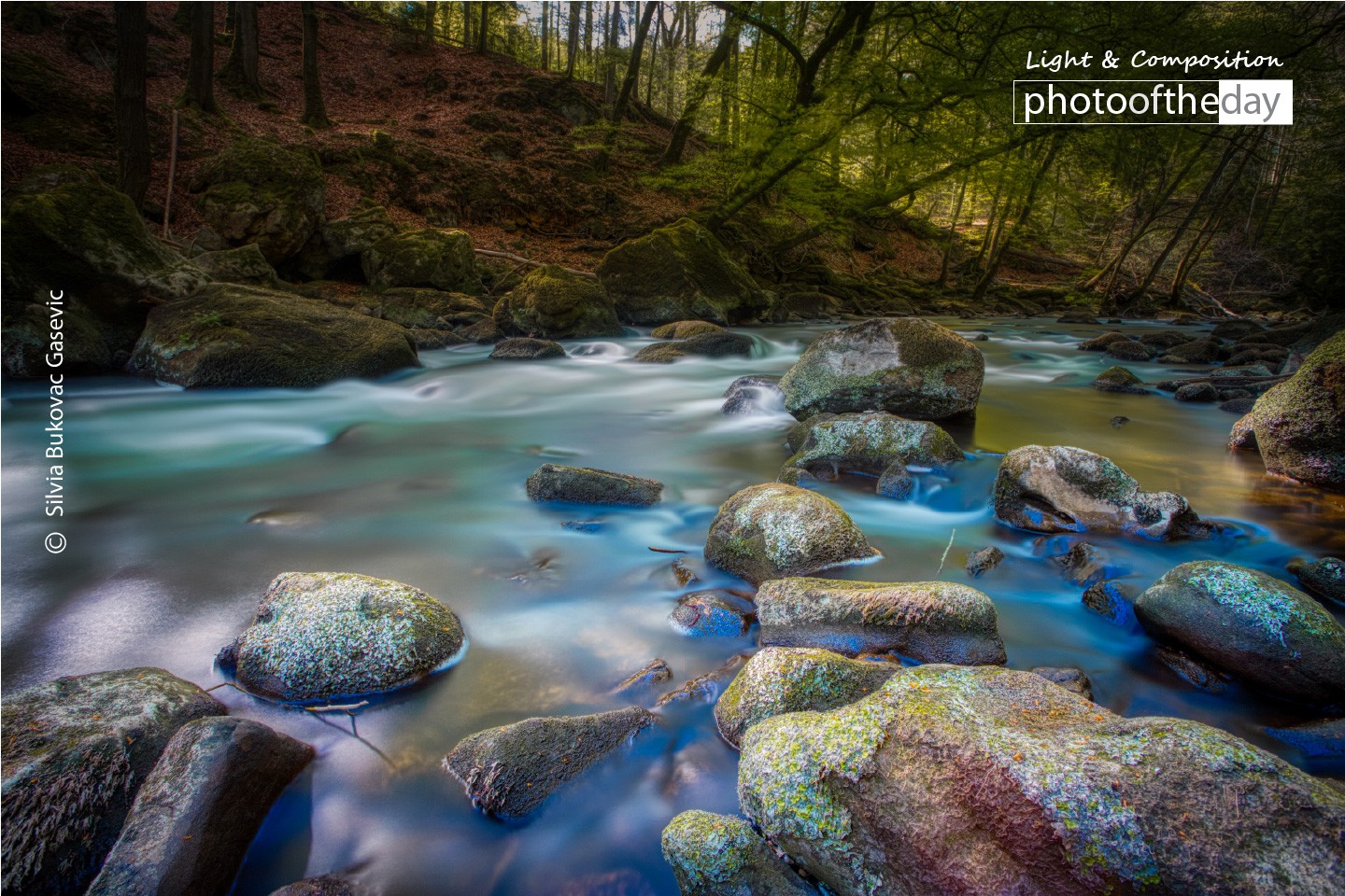 Springtime Flow by Silvia Bukovac Gasevic