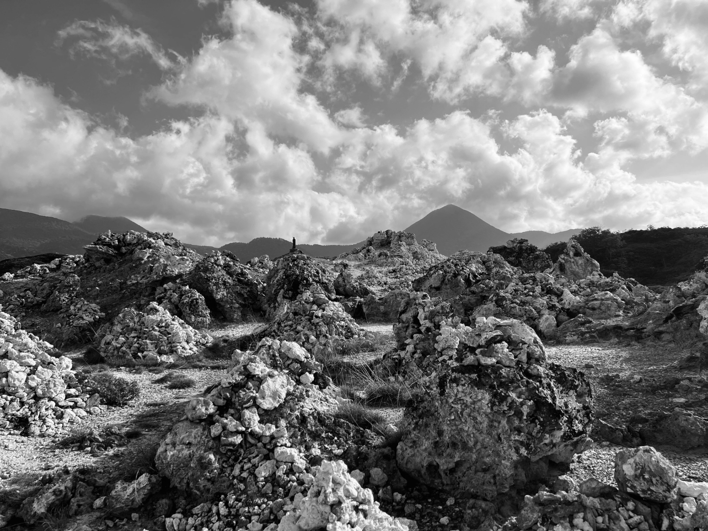 The Gathering Ground by Tetsuhiro Umemura