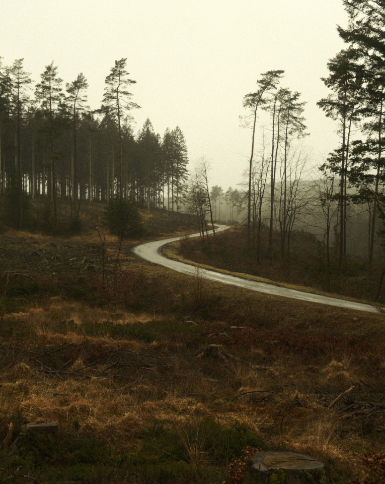 Road Through A Dying Landscape by Arnaud Vlaminck