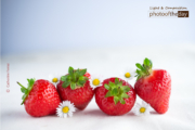 Strawberry Season by Catherine Ferraz