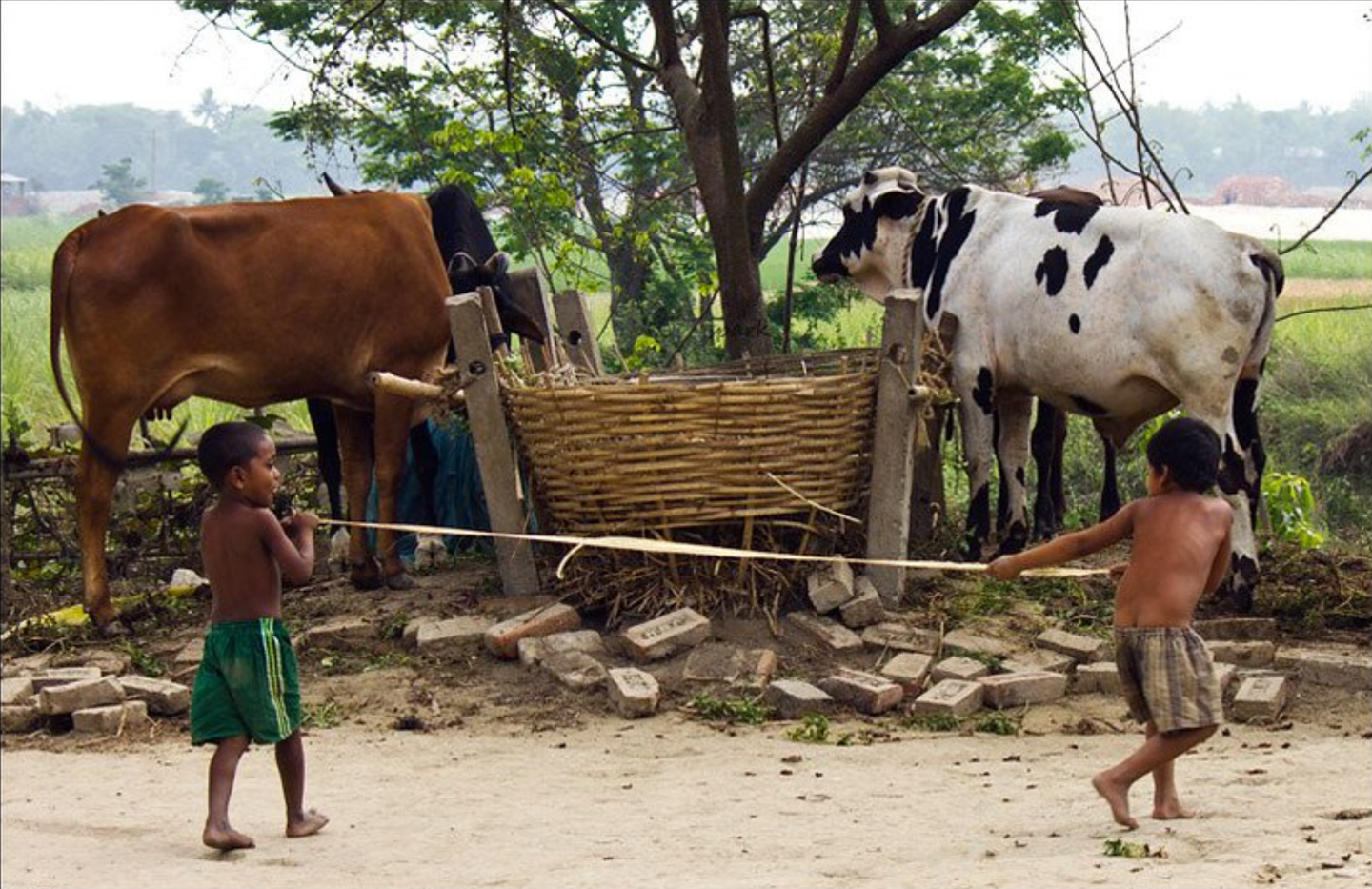 The Innocence and Simplicity of Childhood by Shahnaz Parvin