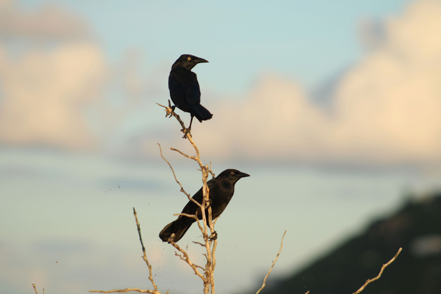 Waiting for The Sunset by Kristel Sturrus