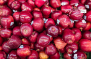 Composition in between of a Red by Taufik Gustian