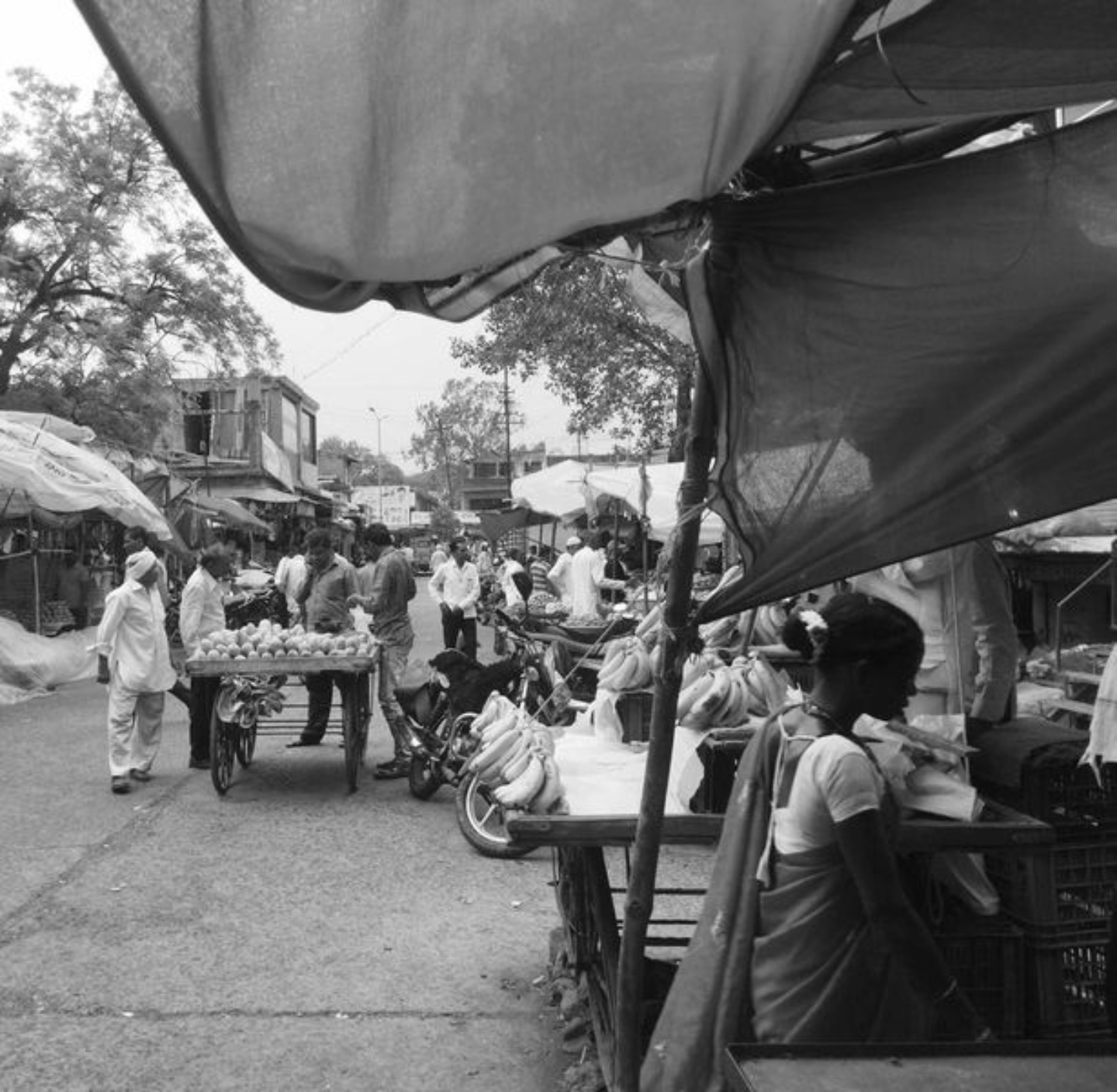 Echoes of Simplicity: Village Market by Janhavi Khanzode