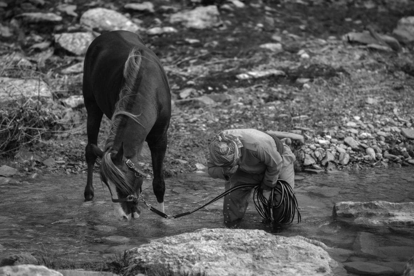 Tales of Trust and Companionship by Armin Abdehou